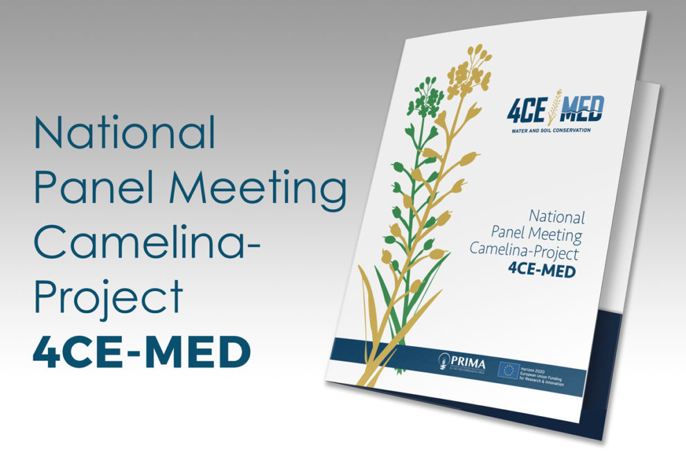National Panel meeting 4CE-MED