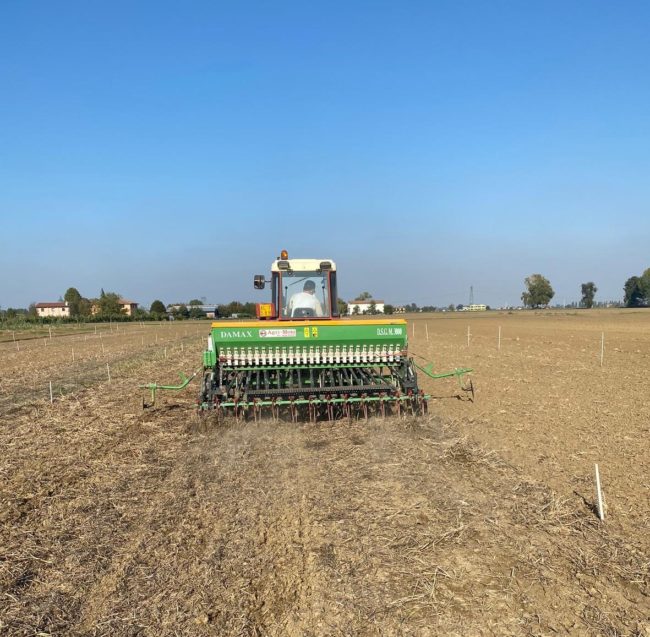 Cash Cover Crop Enhancing water and soil conservation in MEDiterranean dry-farming systems Cash Cover Crop Enhancing water and soil conservation in MEDiterranean dry-farming systems