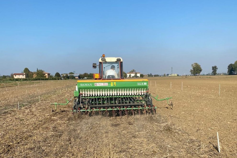 Cash Cover Crop Enhancing water and soil conservation in MEDiterranean dry-farming systems