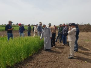 ONCA representatives, farm managers, researchers from INRA-Morocco, visiting ICARDA Marchouch Farm in Morocco 