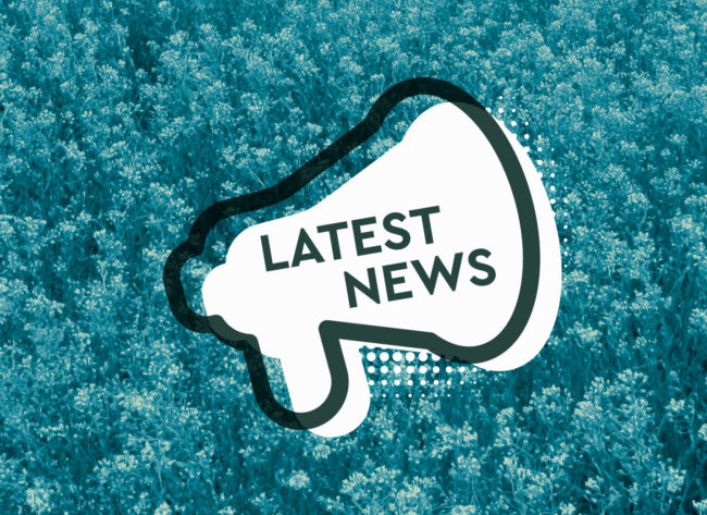 Newsletter