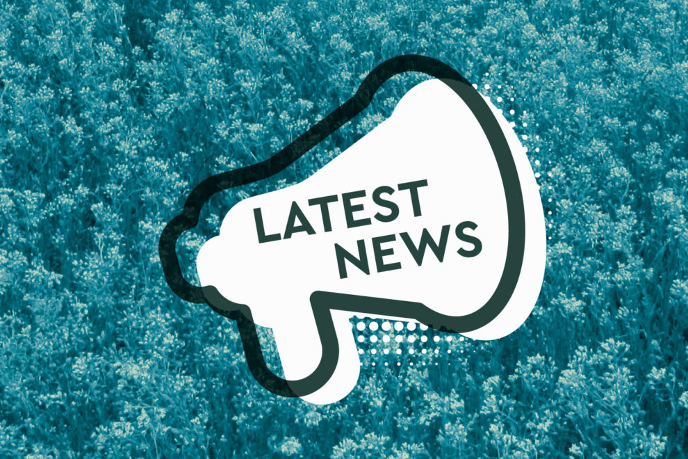 Newsletter