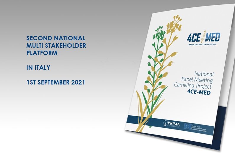 2ND PLATFORM ITALY