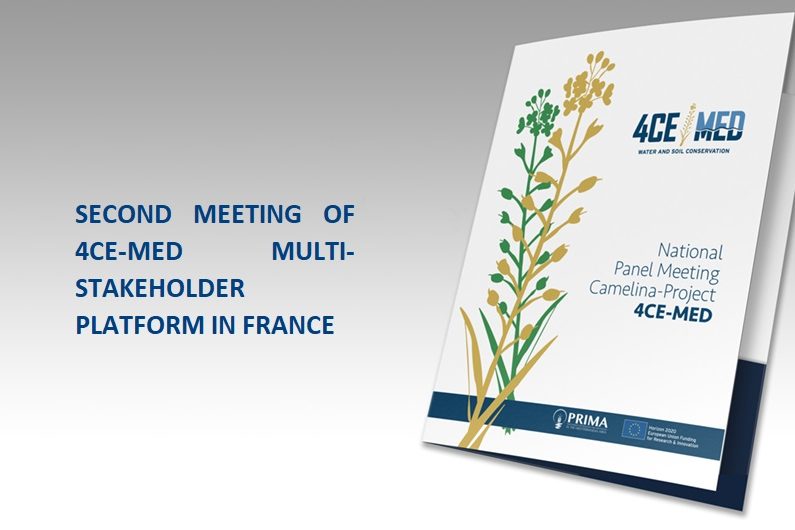 MPL FRANCE