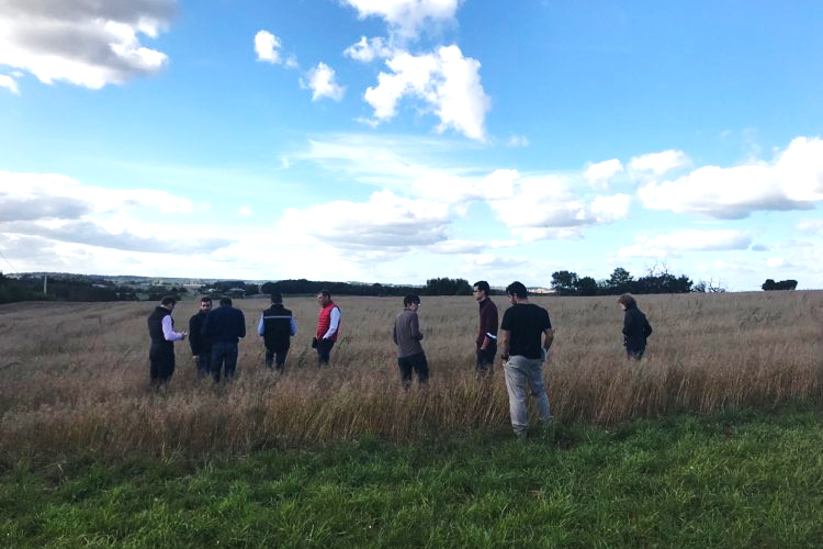Camelina field visit