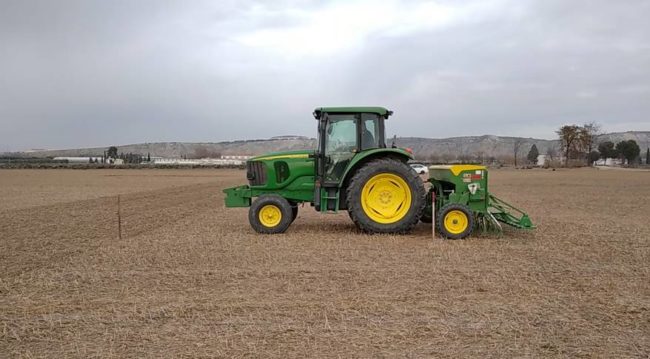 starting sowing