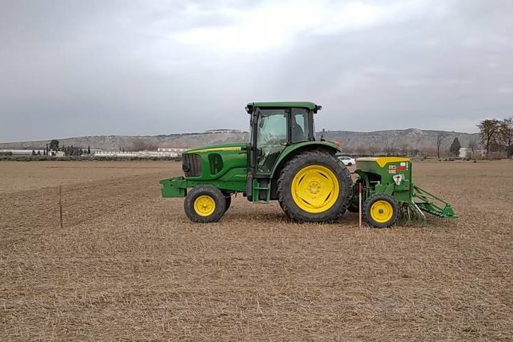 starting sowing