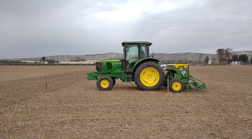 starting sowing