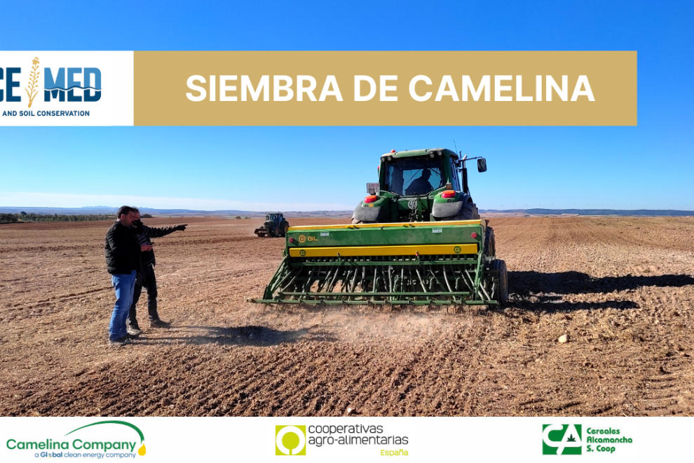 Siembra de camelina en España
