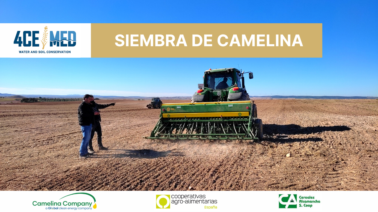 Siembra de camelina en España