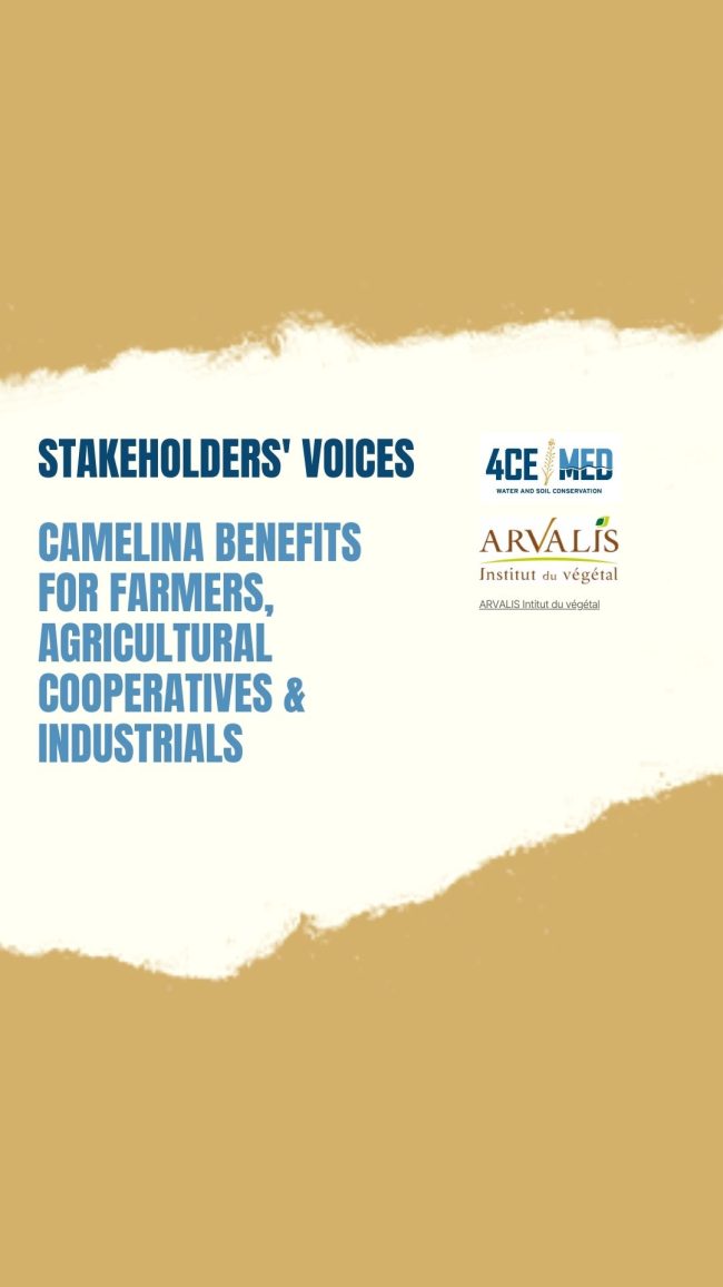 Steakehoders' voices